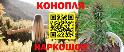 мдма Новодвинск